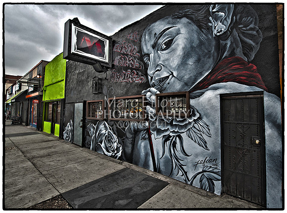 Urban Landscape's  Los Angeles