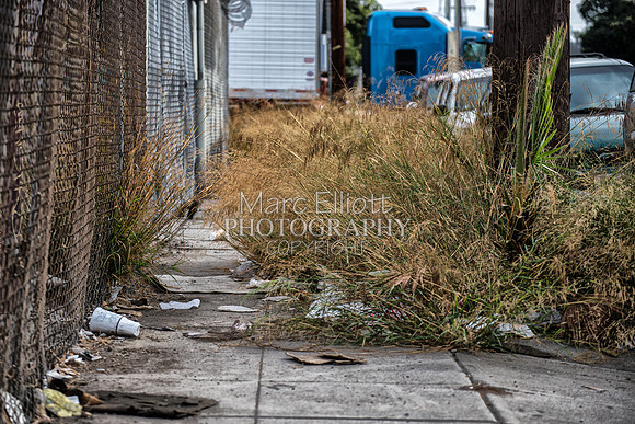 Urban Landscape's  Los Angeles