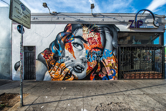 Urban Landscape's  Los Angeles