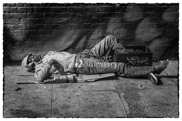 Urban Landscape's  Los Angeles