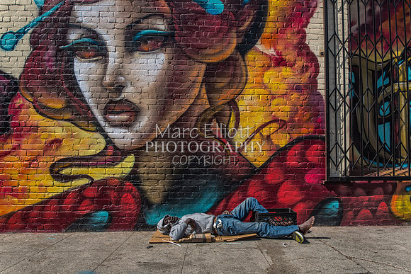 Urban Landscape's  Los Angeles
