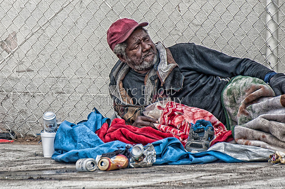 Urban Landscape's  Los Angeles