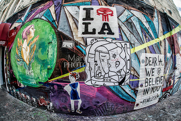 Urban Landscape's  Los Angeles