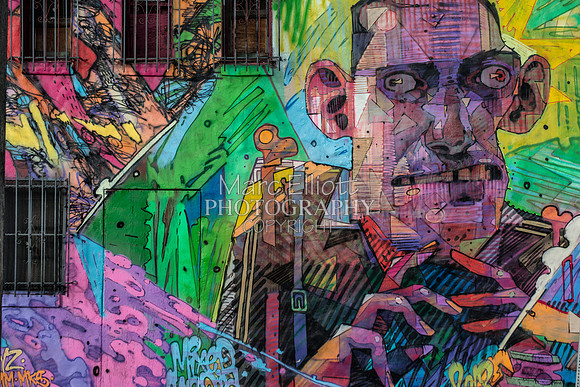 Urban Landscape's  Los Angeles
