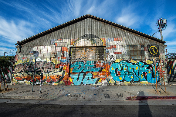 Urban Landscape's  Los Angeles