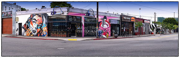 Urban Landscape's  Los Angeles
