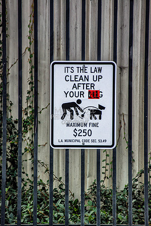 Urban Landscape's  Los Angeles