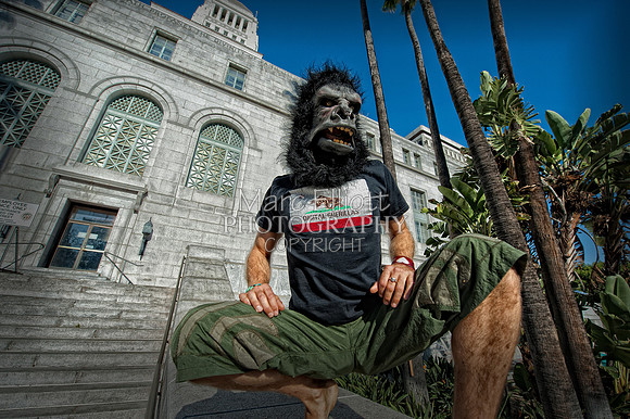 Urban Landscape's  Los Angeles