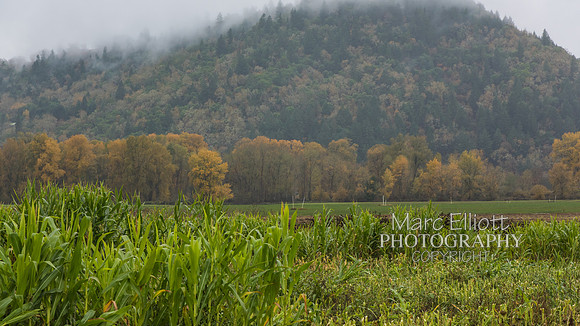 Fall Colors Roseburg Oregon