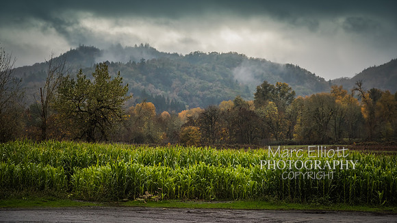 Fall Colors Roseburg Oregon
