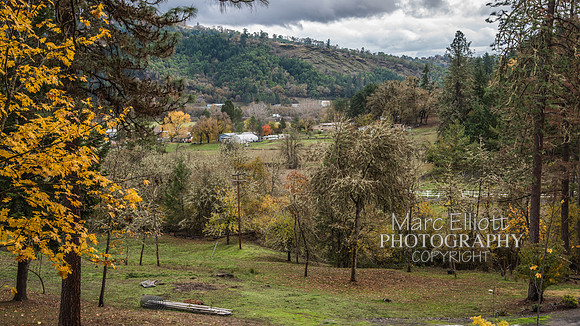 Fall Colors Roseburg Oregon
