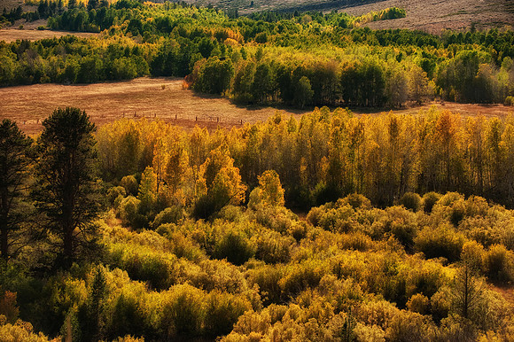 Landscapes